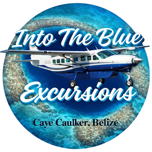 Logo for Into the Blue Excursions