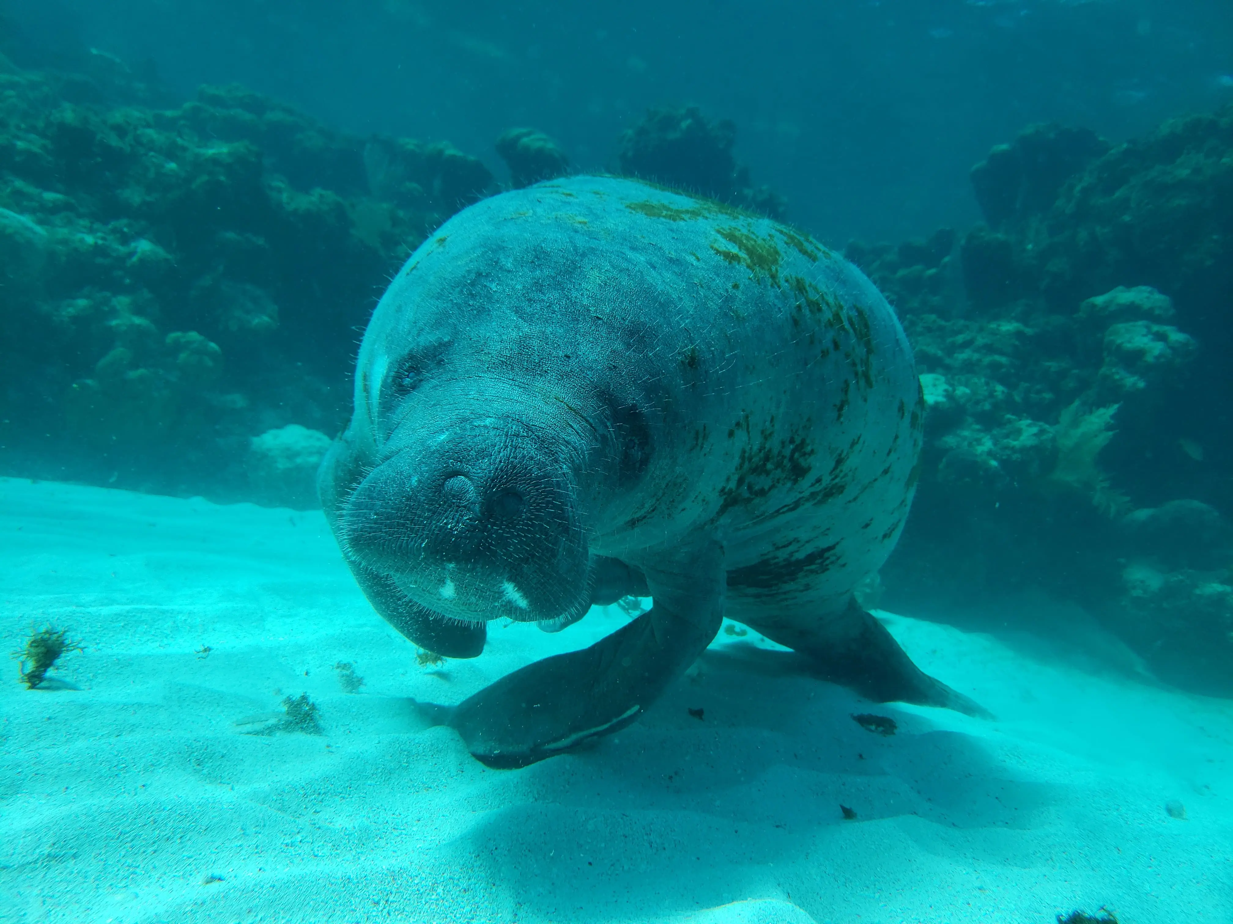 Picture of the North Channel