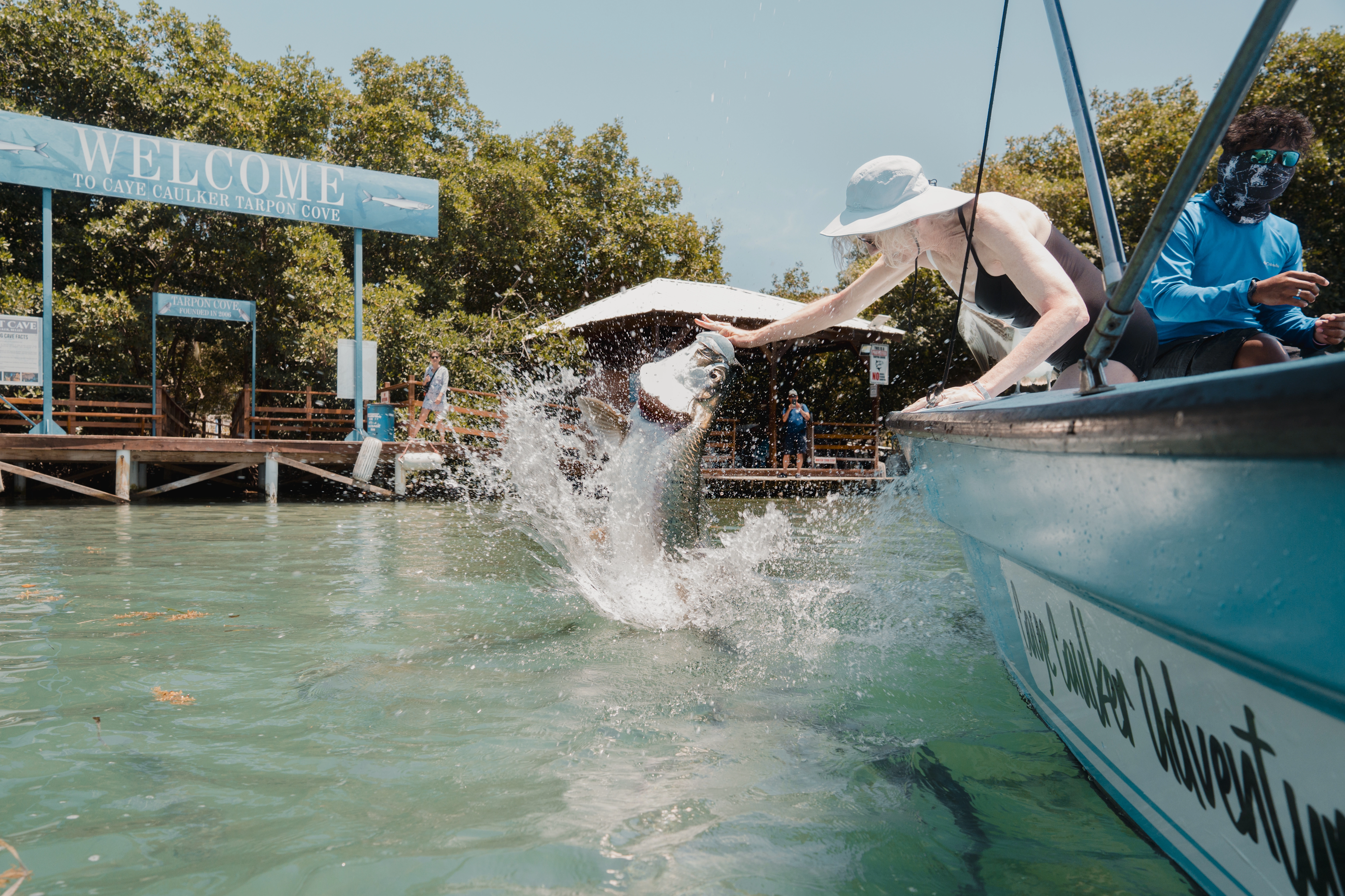 Picture of the Tarpon Cove